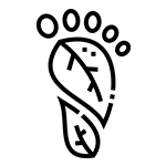 Carbon-footprint accounting Icon